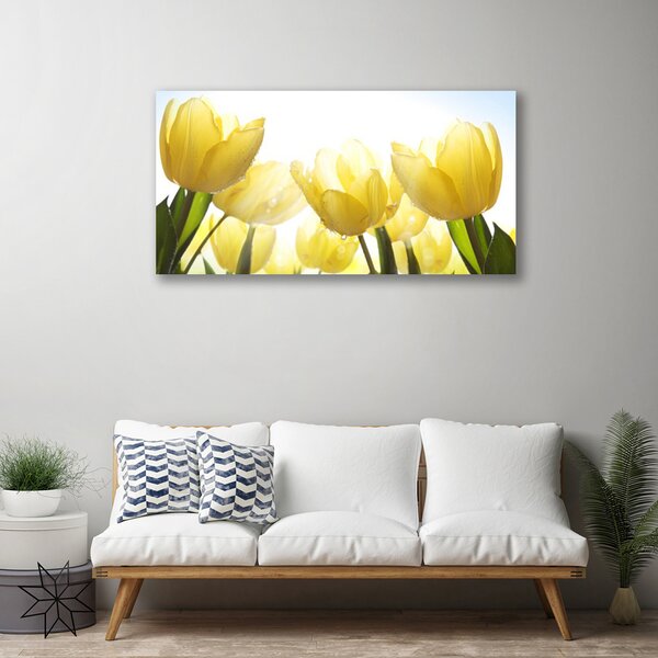 Quadro su tela Tulipani, fiori, raggi 100x50 cm