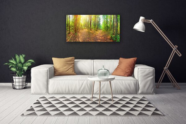 Quadro stampa su tela Sole. Natura. Sentiero nel bosco 100x50 cm