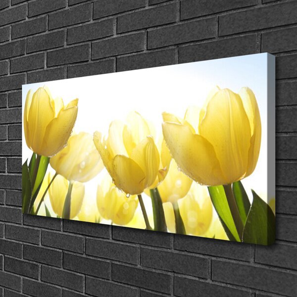 Quadro su tela Tulipani, fiori, raggi 100x50 cm