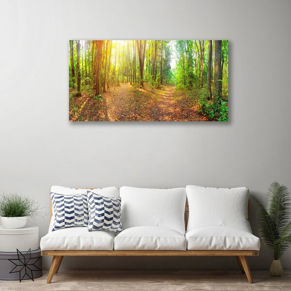 Quadro stampa su tela Sole. Natura. Sentiero nel bosco 100x50 cm