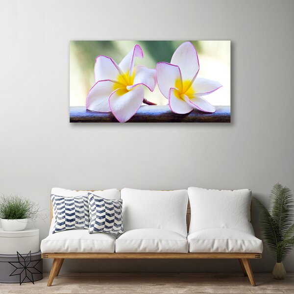 Quadro su tela Fiori di petali di plumeria 100x50 cm