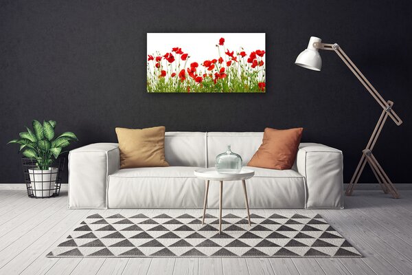 Quadro su tela Prato, papaveri, fiori, natura 100x50 cm