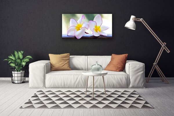 Quadro su tela Fiori di petali di plumeria 100x50 cm