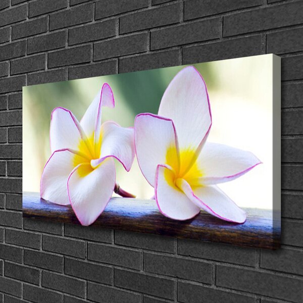 Quadro su tela Fiori di petali di plumeria 100x50 cm