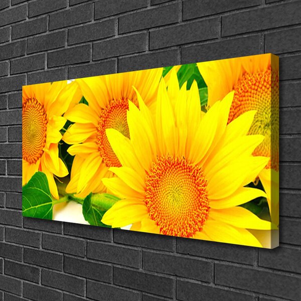 Quadro stampa su tela Girasole Fiore Natura 100x50 cm
