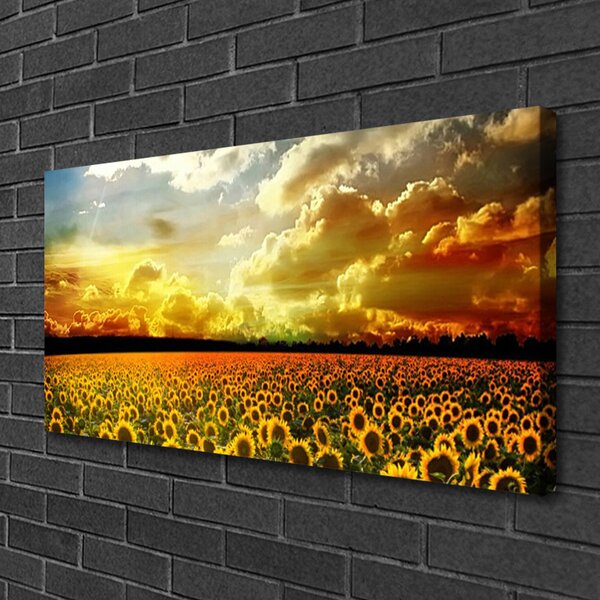 Quadro su tela Paesaggio del campo di girasole 100x50 cm