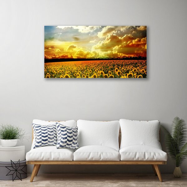 Quadro su tela Paesaggio del campo di girasole 100x50 cm