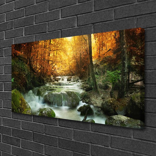 Quadro su tela Cascata Natura Foresta autunnale 100x50 cm