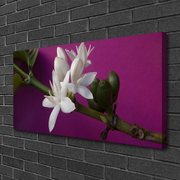 Quadro su tela Fiori, steli, natura 100x50 cm