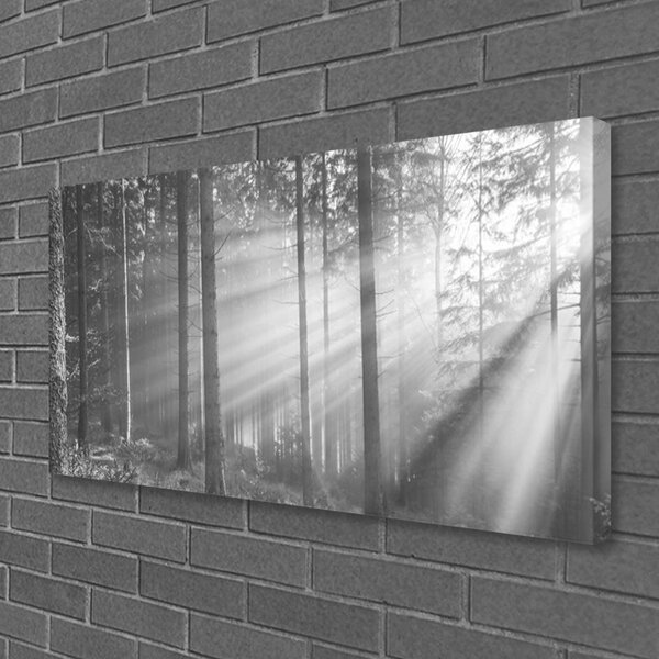 Quadro su tela Foresta naturale Raggi del sole 100x50 cm