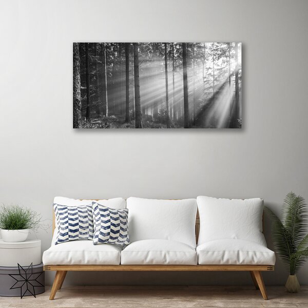 Quadro su tela Foresta naturale Raggi del sole 100x50 cm