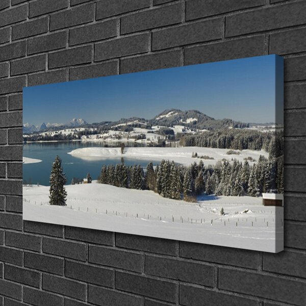 Quadro su tela Terra di montagna del lago di neve 100x50 cm