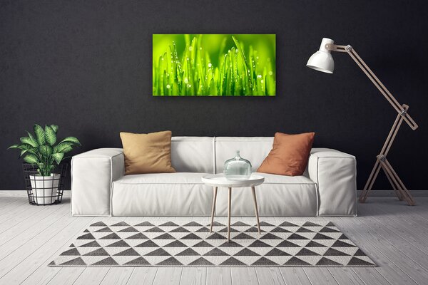 Quadro su tela Erba Verde Gocce Di Rugiada 100x50 cm