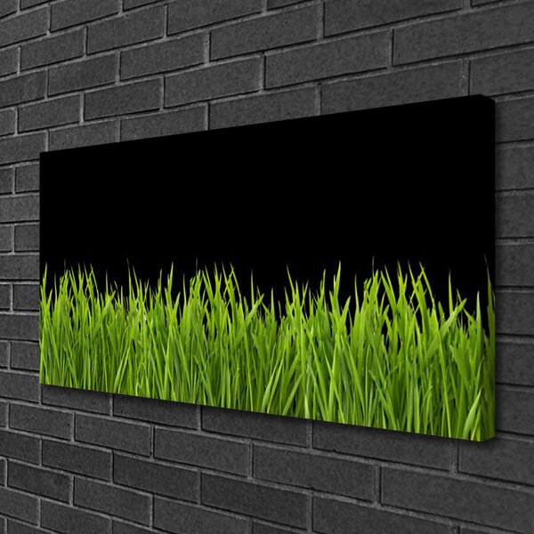 Quadro su tela Natura dell'erba verde 100x50 cm