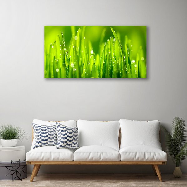Quadro su tela Erba Verde Gocce Di Rugiada 100x50 cm
