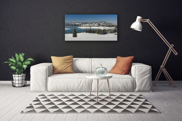 Quadro su tela Terra di montagna del lago di neve 100x50 cm
