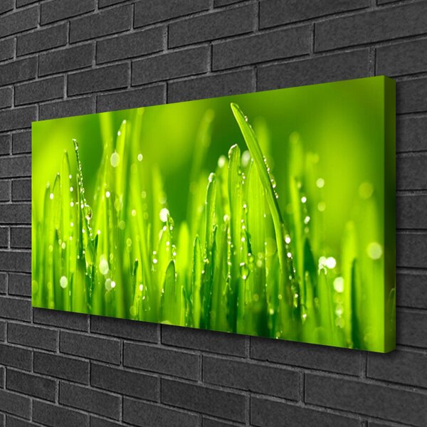 Quadro su tela Erba Verde Gocce Di Rugiada 100x50 cm