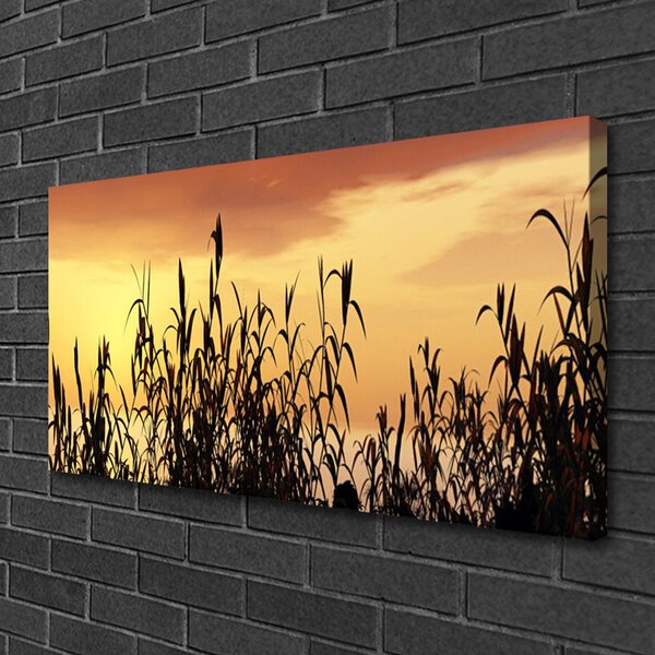 Quadro su tela Foglie di campo del prato occidentale 100x50 cm