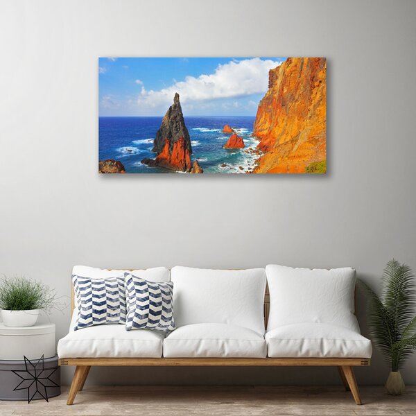 Quadro su tela Scogliera della costa del mare 100x50 cm