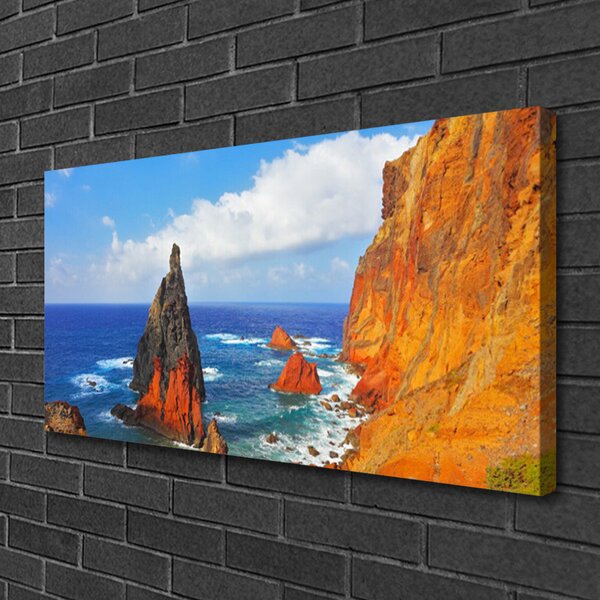 Quadro su tela Scogliera della costa del mare 100x50 cm