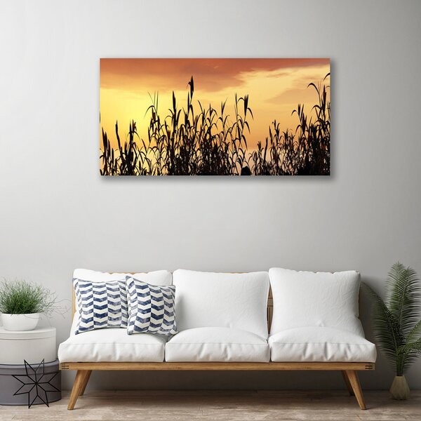 Quadro su tela Foglie di campo del prato occidentale 100x50 cm