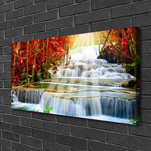 Foto quadro su tela Cascata della foresta naturale 100x50 cm