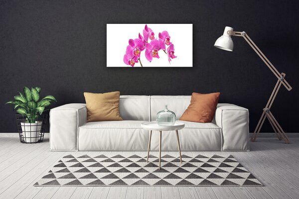 Quadro su tela Fiori di orchidea Natura 100x50 cm
