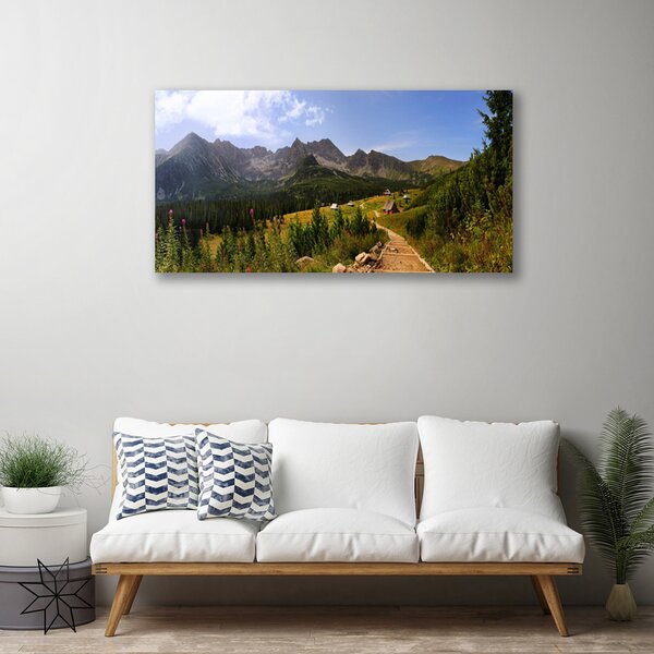 Quadro su tela Montagne di Hala Strada della natura del prato 100x50 cm