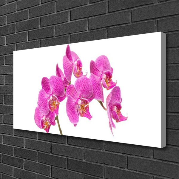 Quadro su tela Fiori di orchidea Natura 100x50 cm