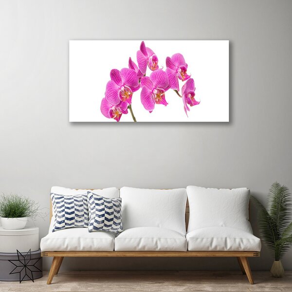 Quadro su tela Fiori di orchidea Natura 100x50 cm