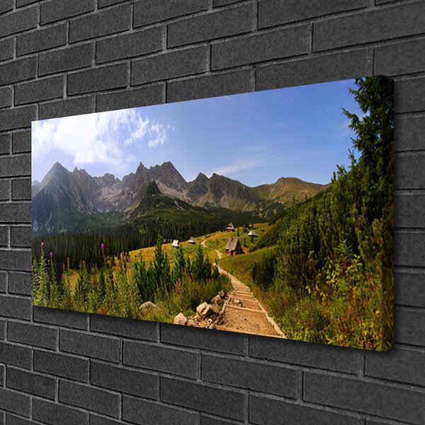 Quadro su tela Montagne di Hala Strada della natura del prato 100x50 cm