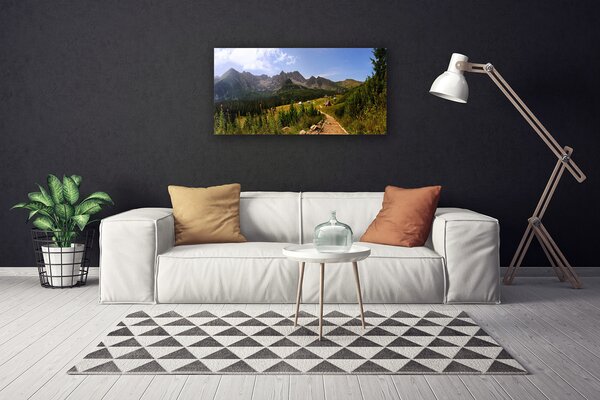 Quadro su tela Montagne di Hala Strada della natura del prato 100x50 cm