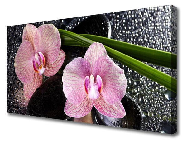 Quadro su tela Fiori di orchidea Orchidea Zen 100x50 cm