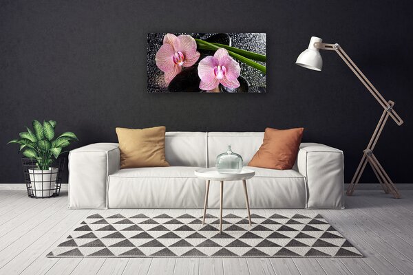 Quadro su tela Fiori di orchidea Orchidea Zen 100x50 cm