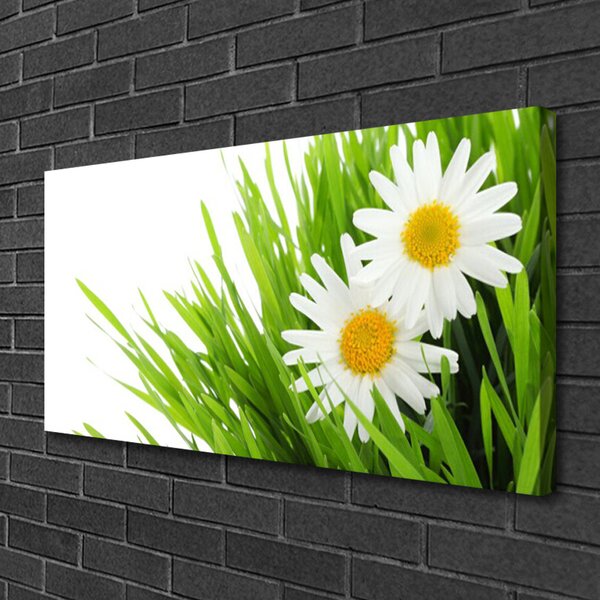 Quadro su tela Margherita Fiore Natura 100x50 cm