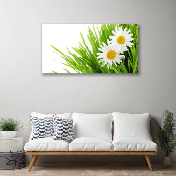 Quadro su tela Margherita Fiore Natura 100x50 cm