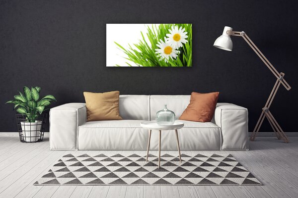 Quadro su tela Margherita Fiore Natura 100x50 cm