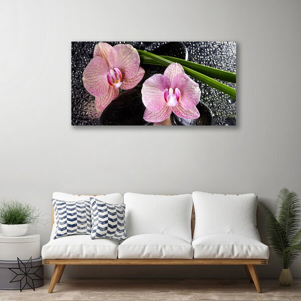 Quadro su tela Fiori di orchidea Orchidea Zen 100x50 cm