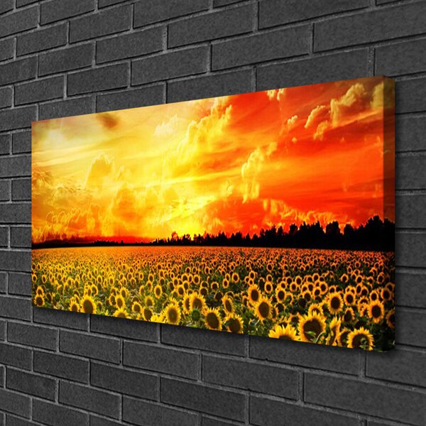 Quadro su tela Fiori di girasoli di prato 100x50 cm
