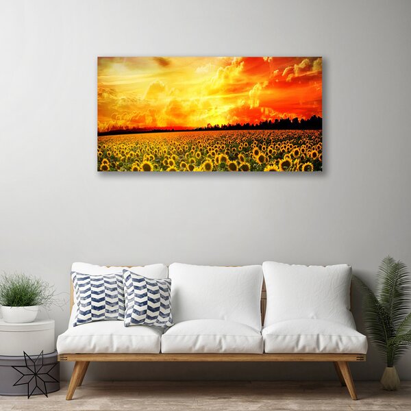 Quadro su tela Fiori di girasoli di prato 100x50 cm