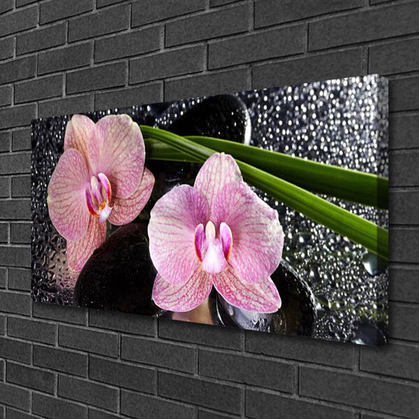 Quadro su tela Fiori di orchidea Orchidea Zen 100x50 cm