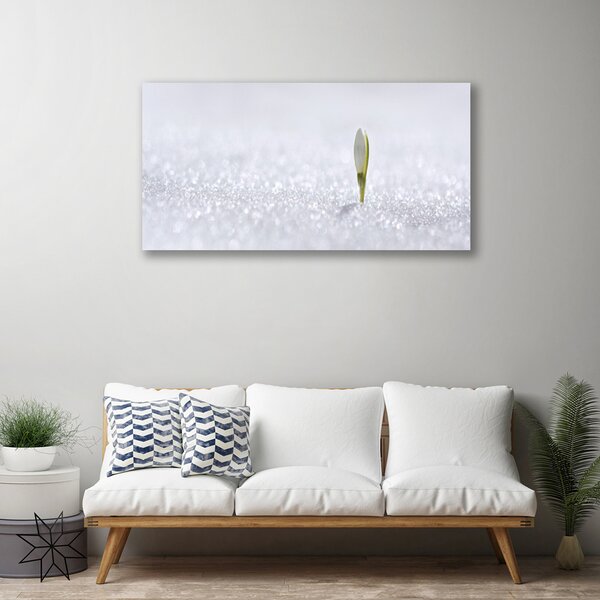 Stampa quadro su tela Bucaneve Neve Inverno 100x50 cm