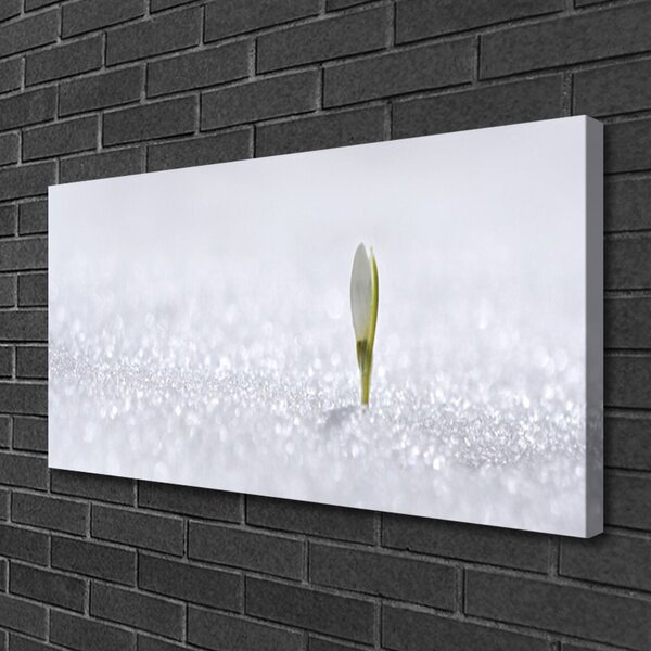 Stampa quadro su tela Bucaneve Neve Inverno 100x50 cm