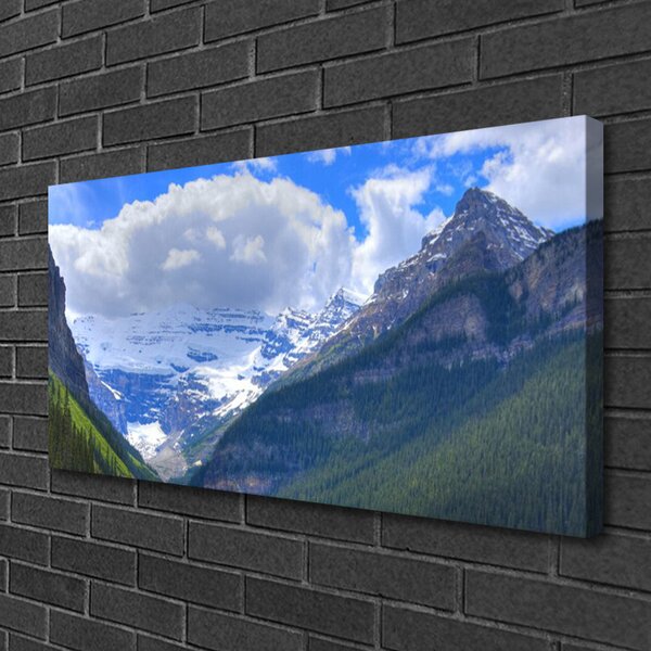 Quadro su tela Paesaggio di montagne 100x50 cm