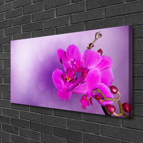 Quadro su tela Petali di fiori di un'orchidea 100x50 cm