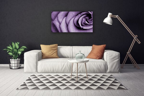 Foto quadro su tela Pianta di fiori di rosa 100x50 cm
