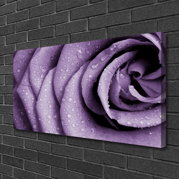 Foto quadro su tela Pianta di fiori di rosa 100x50 cm