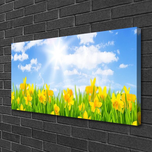 Quadro su tela Narcisi Erba Natura 100x50 cm
