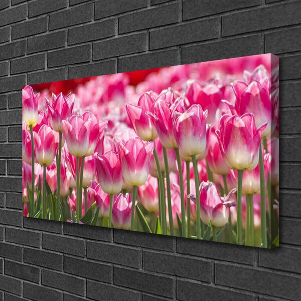 Quadro su tela Tulipani, fiori, natura 100x50 cm