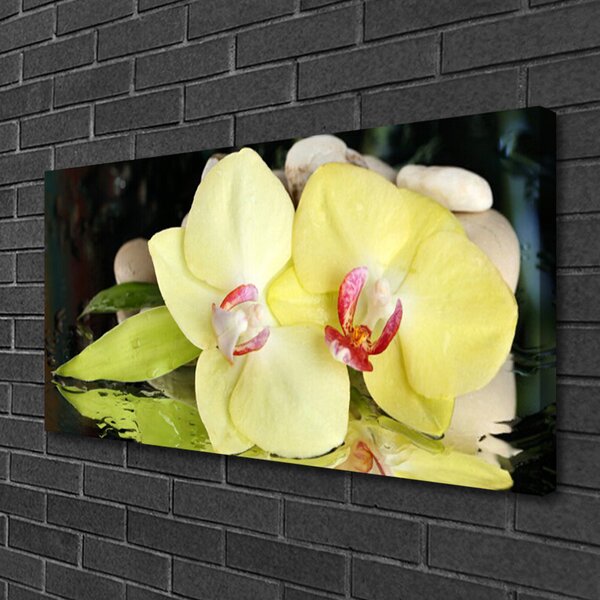 Quadro su tela Petali di fiori di un'orchidea 100x50 cm